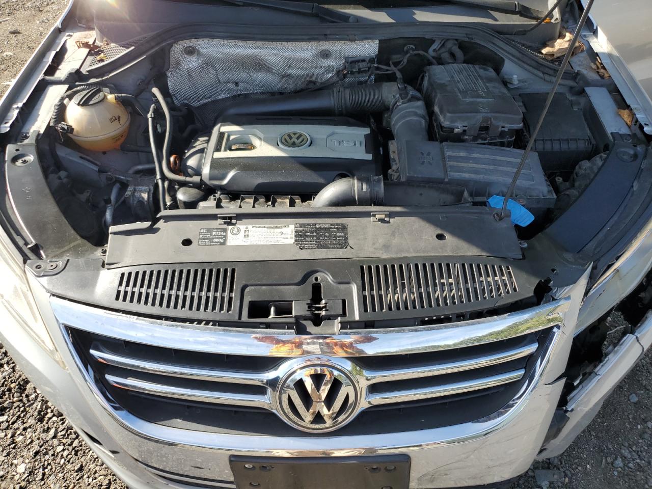 2010 Volkswagen Tiguan S VIN: WVGAV7AX6AW524791 Lot: 85271765