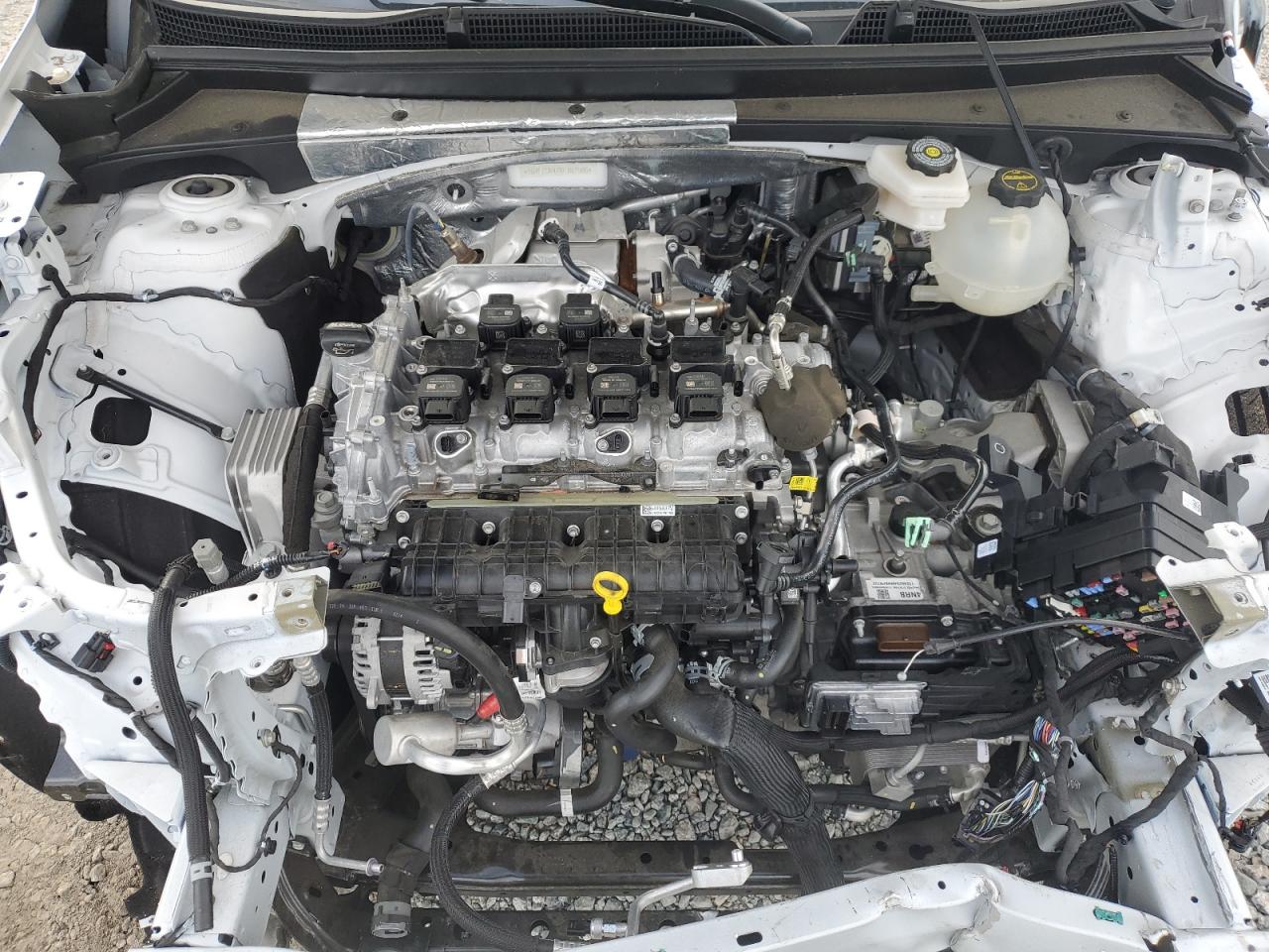 2024 Cadillac Xt4 Premium Luxury VIN: 1GYFZCR47RF187586 Lot: 81956125