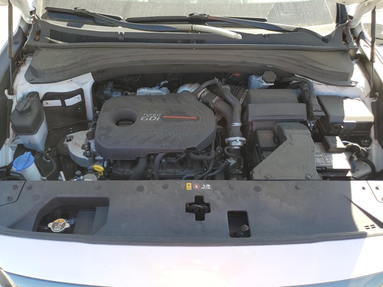2020 Hyundai Santa Fe Limited VIN: 5NMS5CAA0LH290621 Lot: 82396565