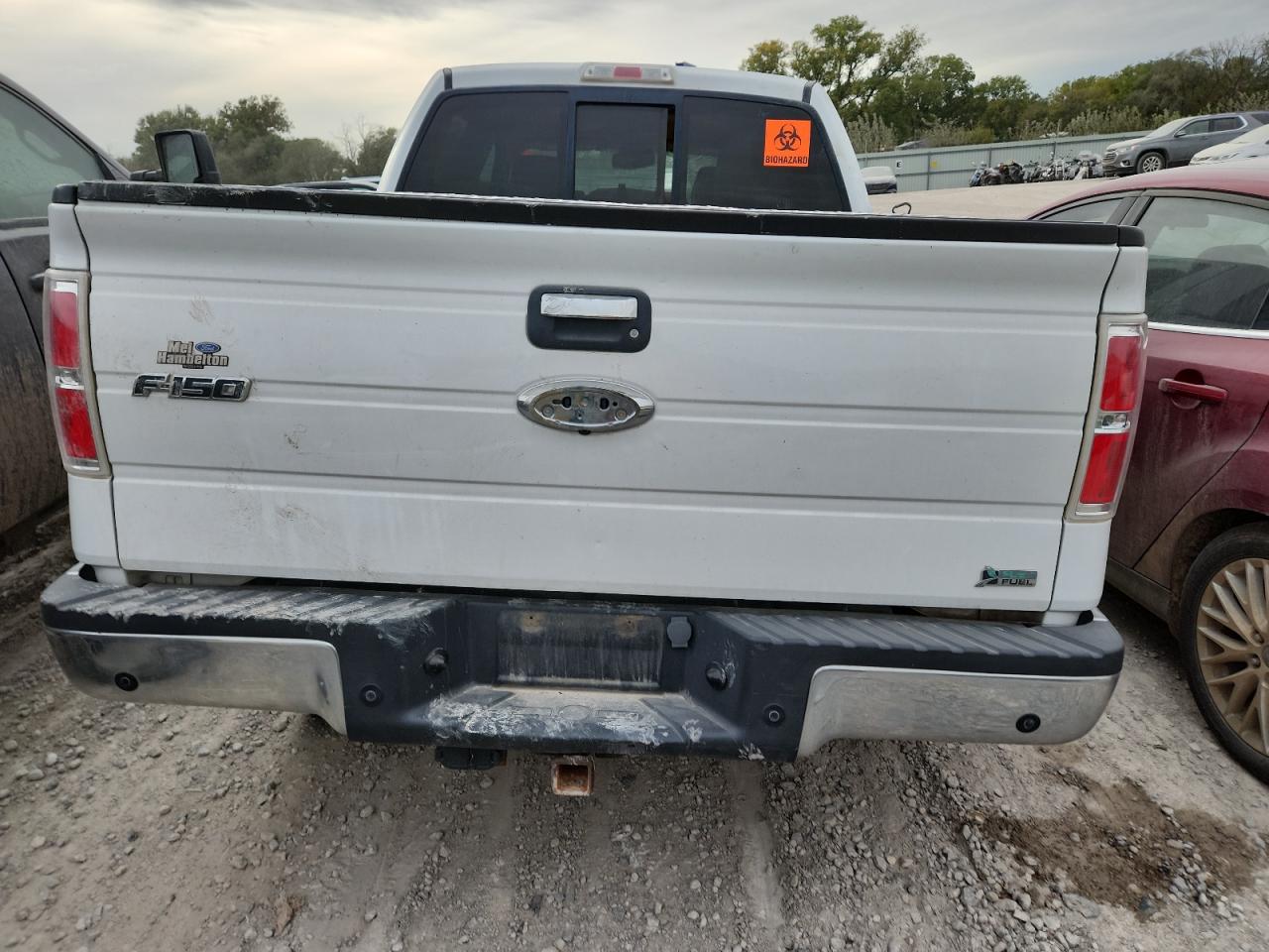 2010 Ford F150 Supercrew VIN: 1FTFW1EV4AFC97372 Lot: 89531455