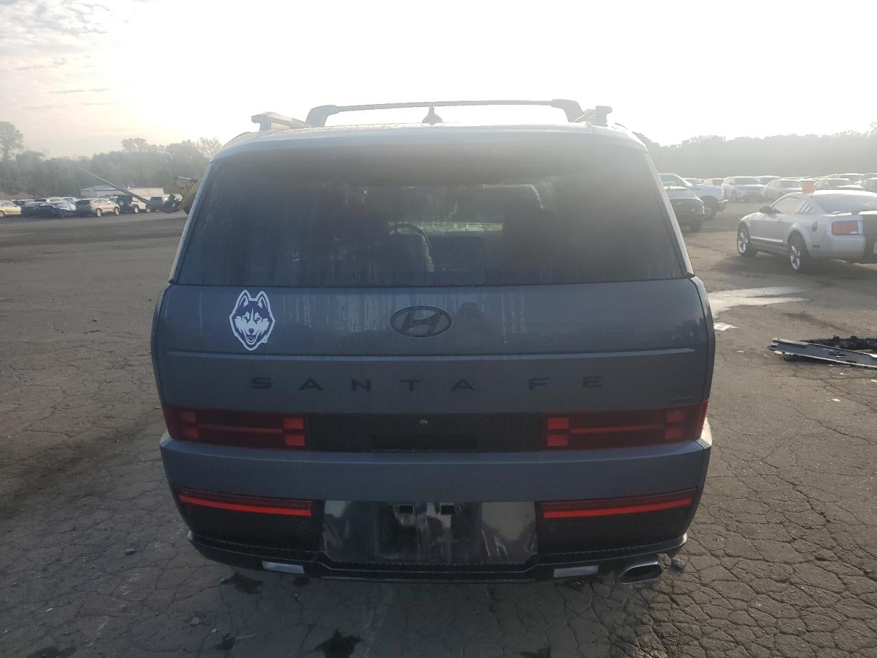 2025 Hyundai Santa Fe Calligraphy VIN: 5NMP5DGL1SH099079 Lot: 85328805