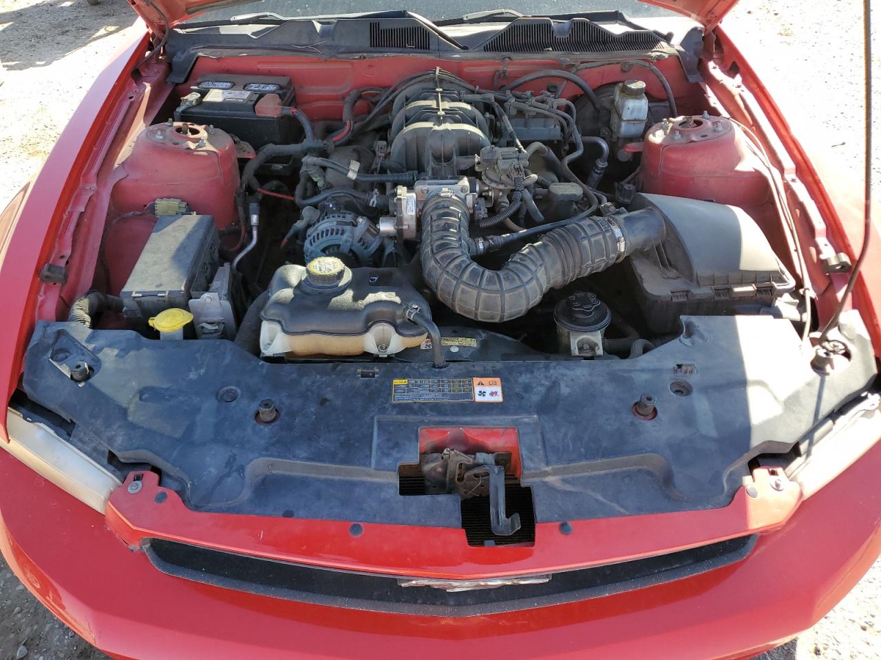 2010 Ford Mustang VIN: 1ZVBP8AN0A5125031 Lot: 90593235