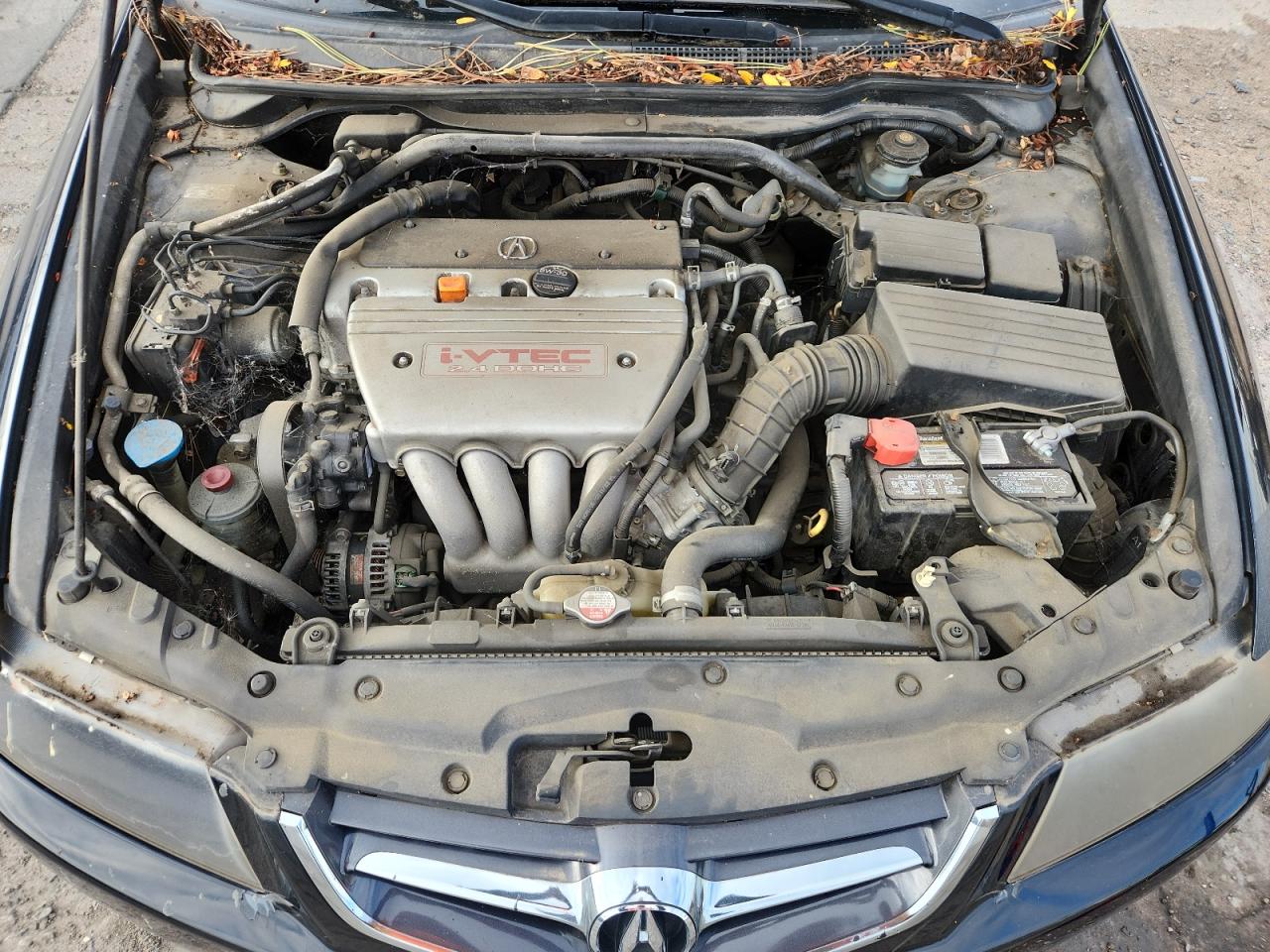 2004 Acura Tsx VIN: JH4CL96914C016418 Lot: 85728345