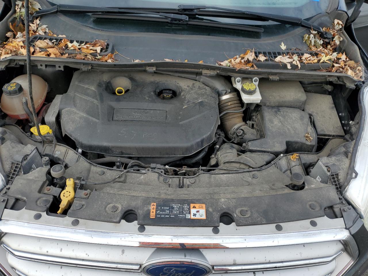 2017 Ford Escape Se VIN: 1FMCU9G94HUE00038 Lot: 81904785