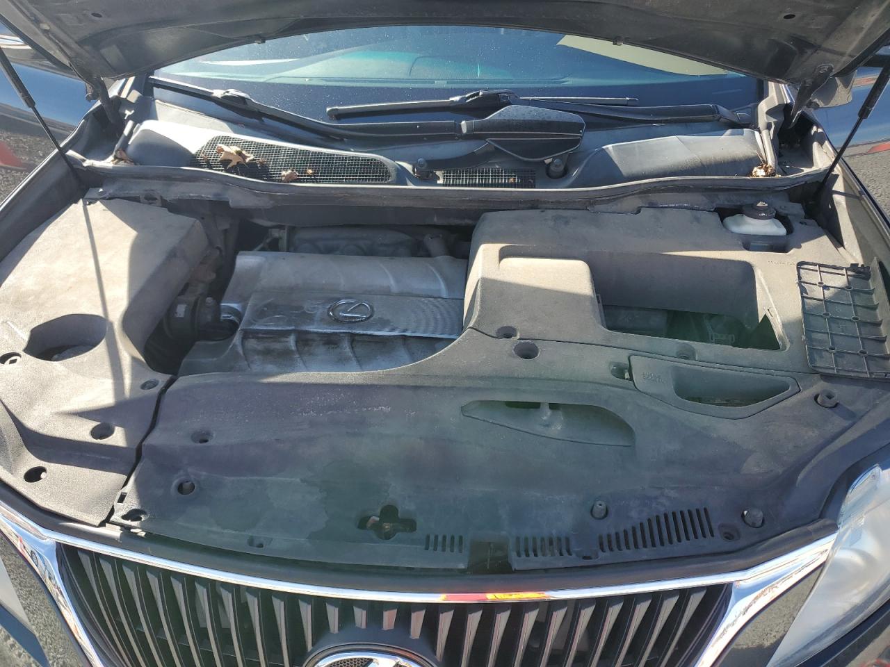 2010 Lexus Rx 350 VIN: 2T2BK1BA4AC065502 Lot: 82411395