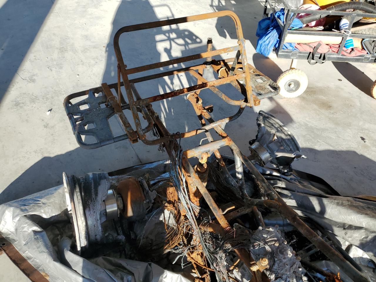 2024 Honda Trx420 Fm VIN: 1HFTE4001RJ001760 Lot: 84874135