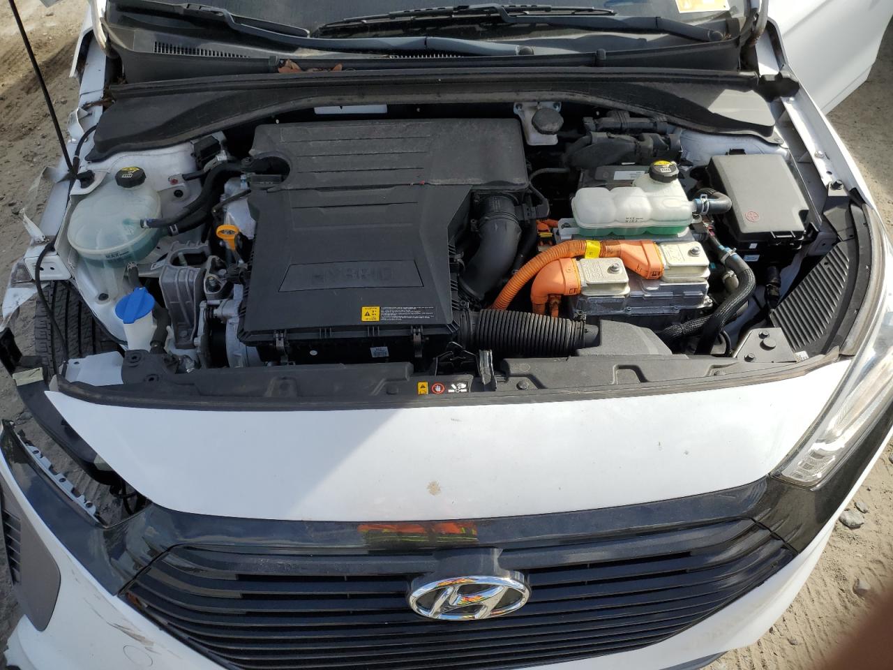 2019 Hyundai Ioniq Blue VIN: KMHC65LC4KU111091 Lot: 82201175