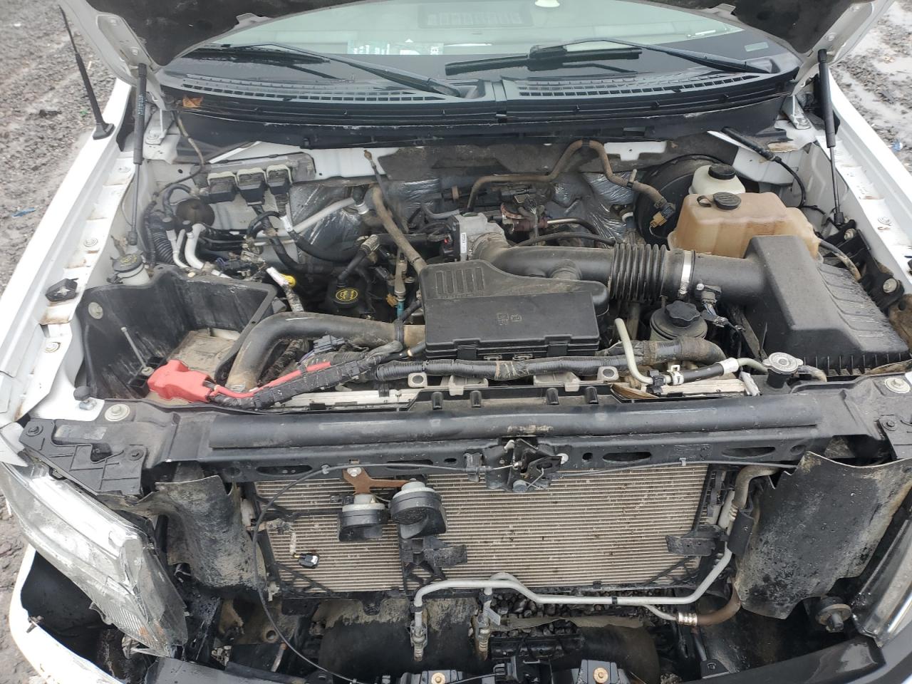 2010 Ford F150 Super Cab VIN: 1FTEX1CW9AFA89296 Lot: 89908595