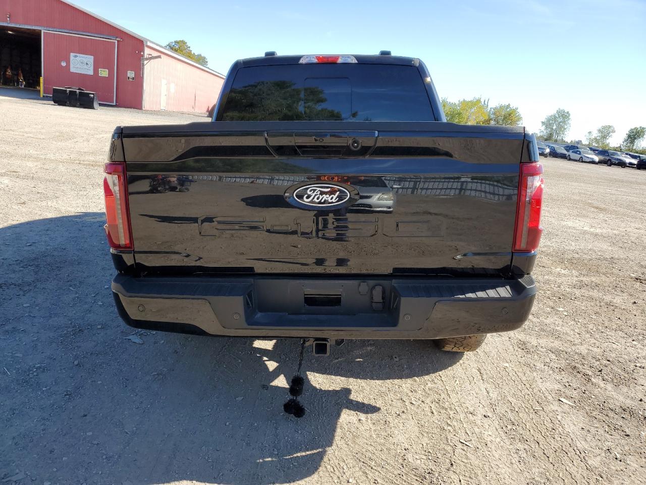 2025 Ford F150 Xlt VIN: 1FTEW3LP2SFA84224 Lot: 84619975