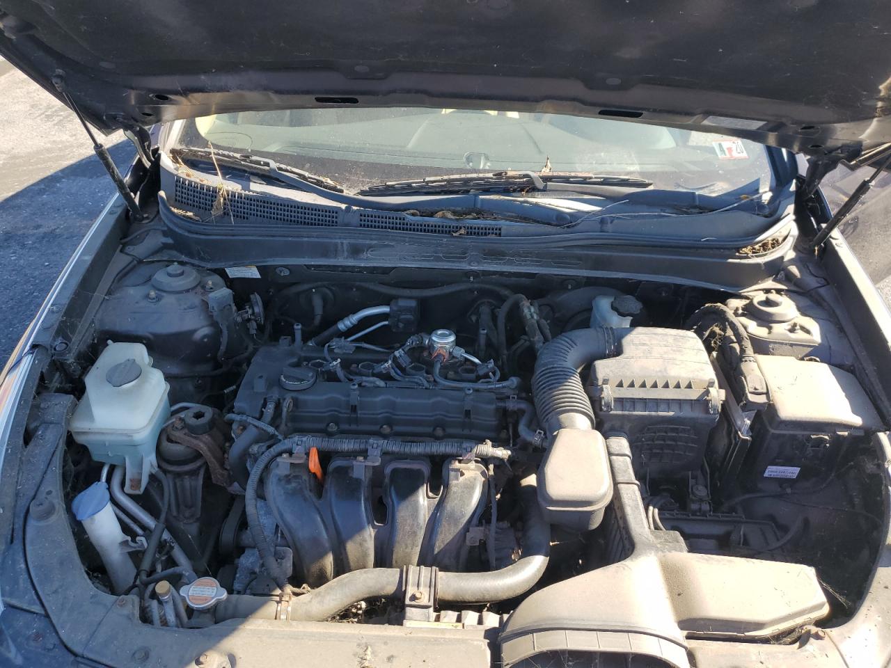 2011 Hyundai Sonata Gls VIN: 5NPEB4AC8BH053695 Lot: 86311205