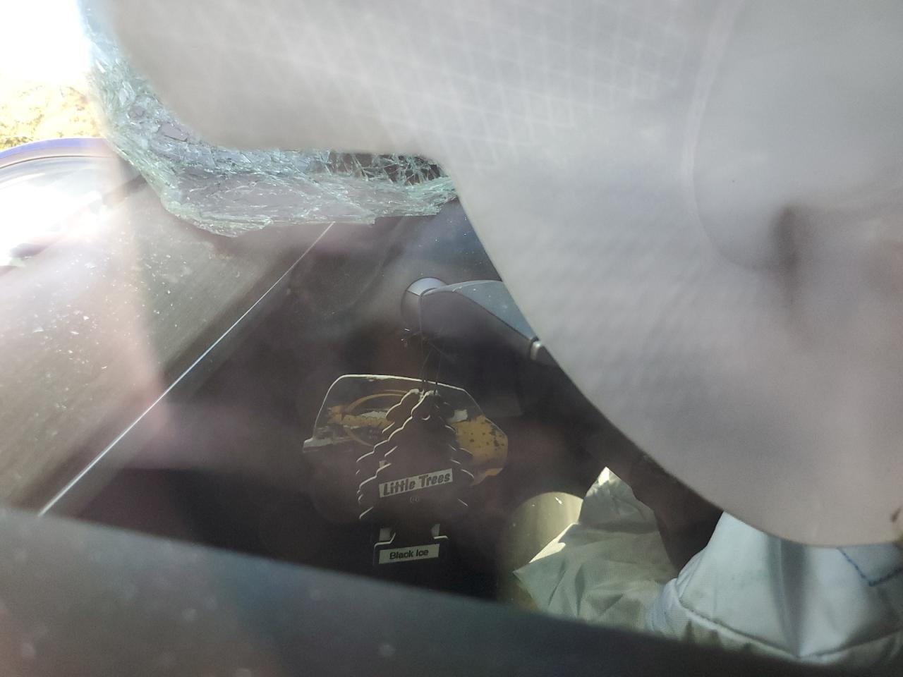 2023 Tesla Model Y VIN: 7SAYGDEF1PF925016 Lot: 84810395