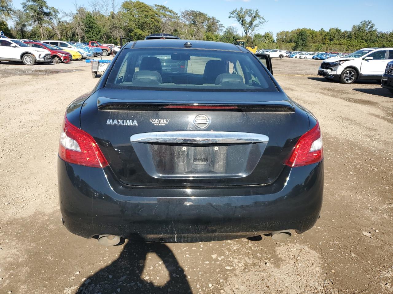 2010 Nissan Maxima S VIN: 1N4AA5APXAC849942 Lot: 85494175