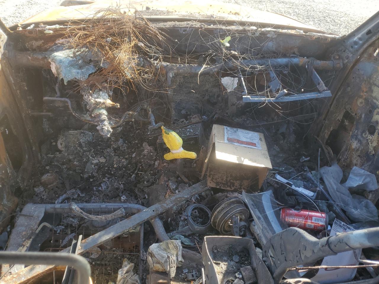 2001 Toyota Tacoma Xtracab VIN: 5TEWN72N71Z829873 Lot: 82743615