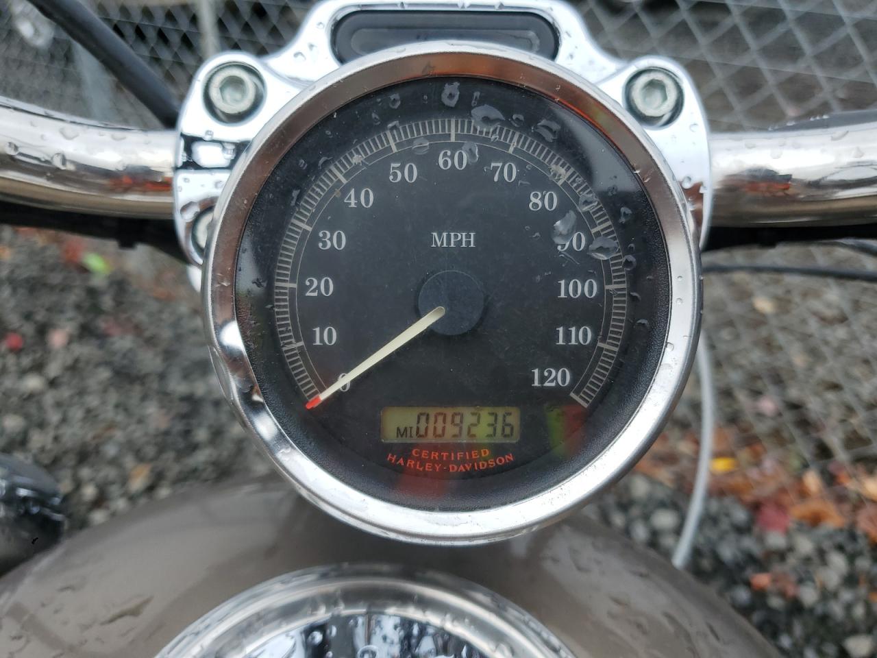 2005 Harley-Davidson Xl1200 C VIN: 1HD1CGP185K442733 Lot: 81973875