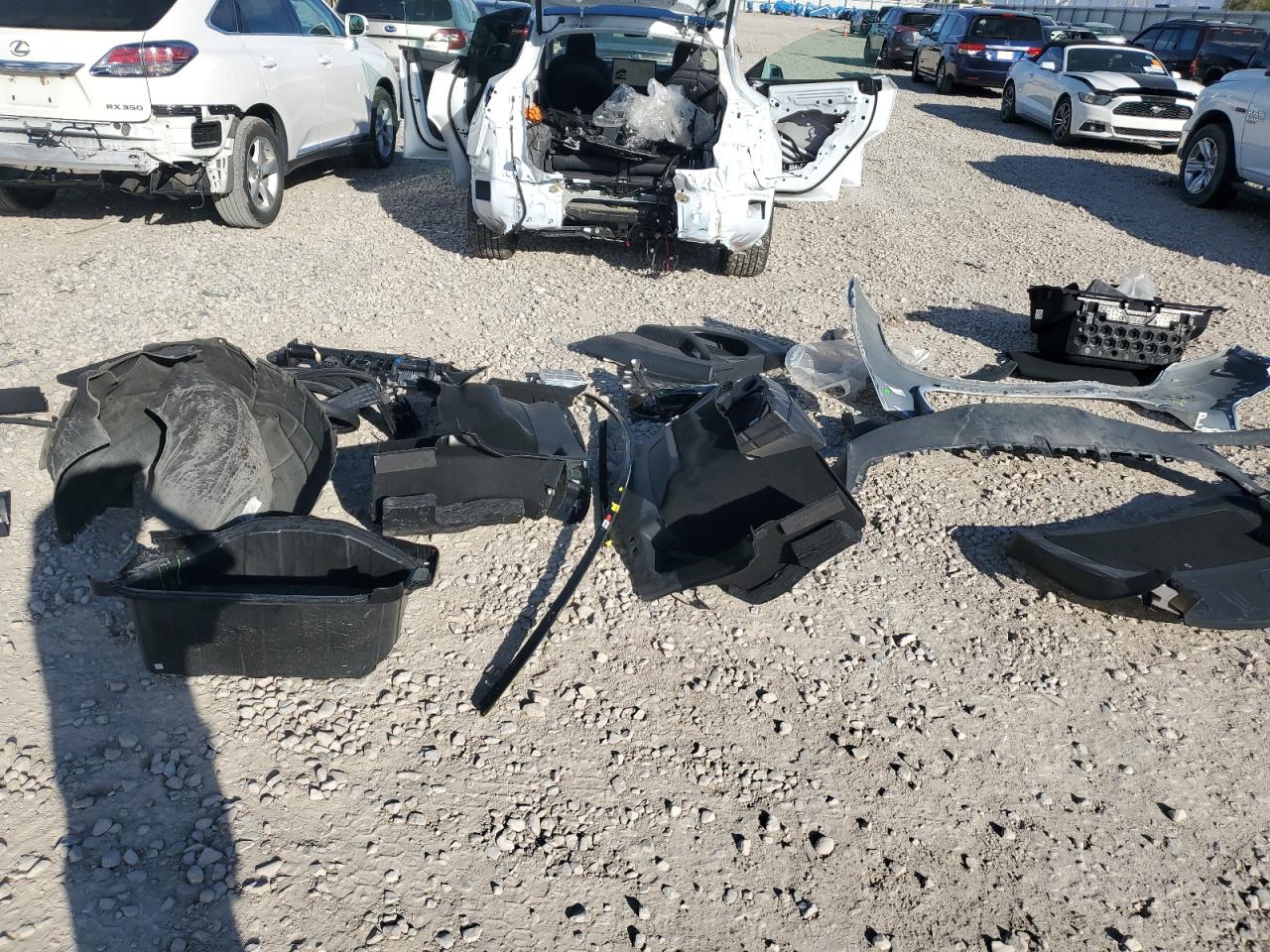 2024 Tesla Model Y VIN: 7SAYGAEE4RF149473 Lot: 85130955