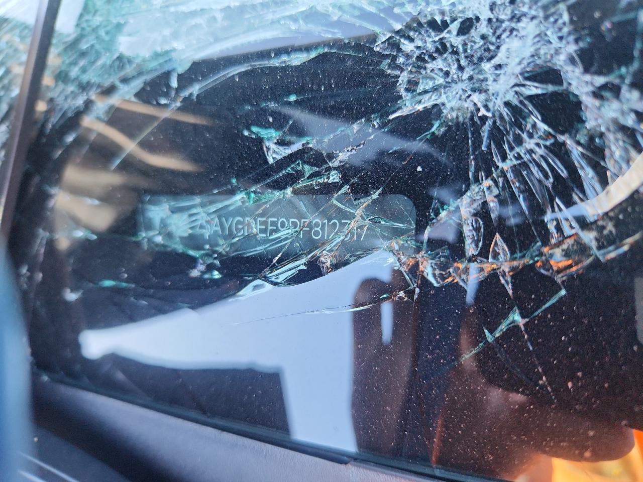 2023 Tesla Model Y VIN: 7SAYGDEF9PF812317 Lot: 85397715