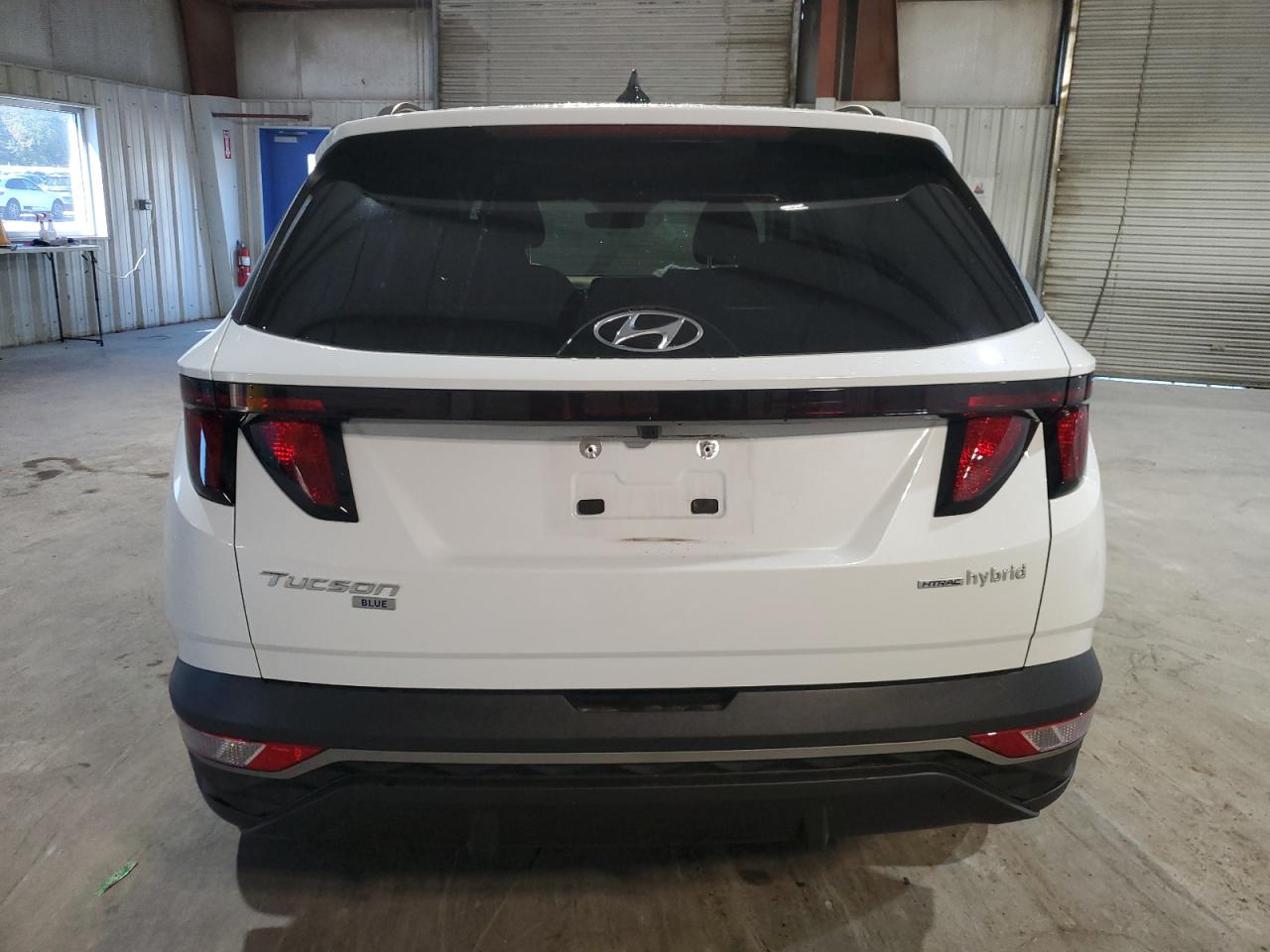 2024 Hyundai Tucson Blue VIN: KM8JBCD15RU240004 Lot: 86237955