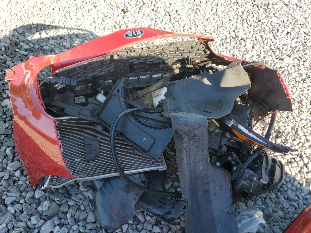 2019 Kia Forte Fe VIN: 3KPF24AD0KE117181 Lot: 82155585