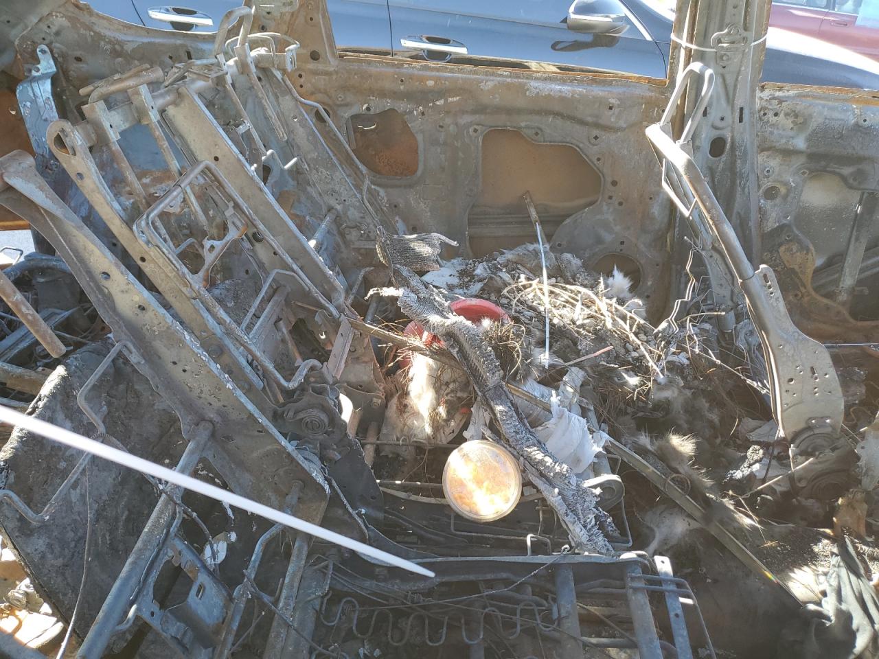 2020 Mazda Cx-9 Sport VIN: JM3TCABY1L0405325 Lot: 68852375