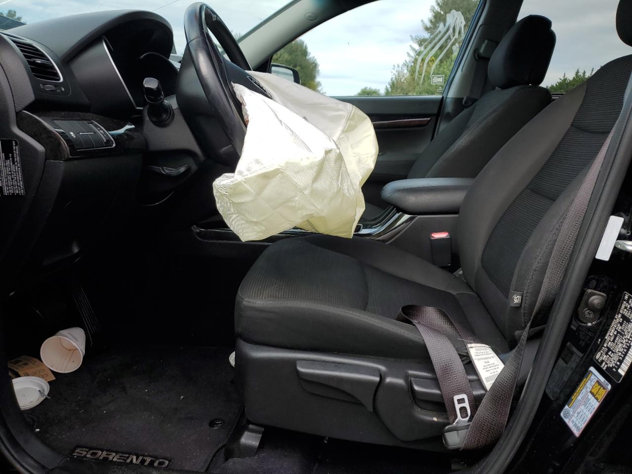 2014 Kia Sorento Lx VIN: 5XYKT3A62EG436659 Lot: 86297435