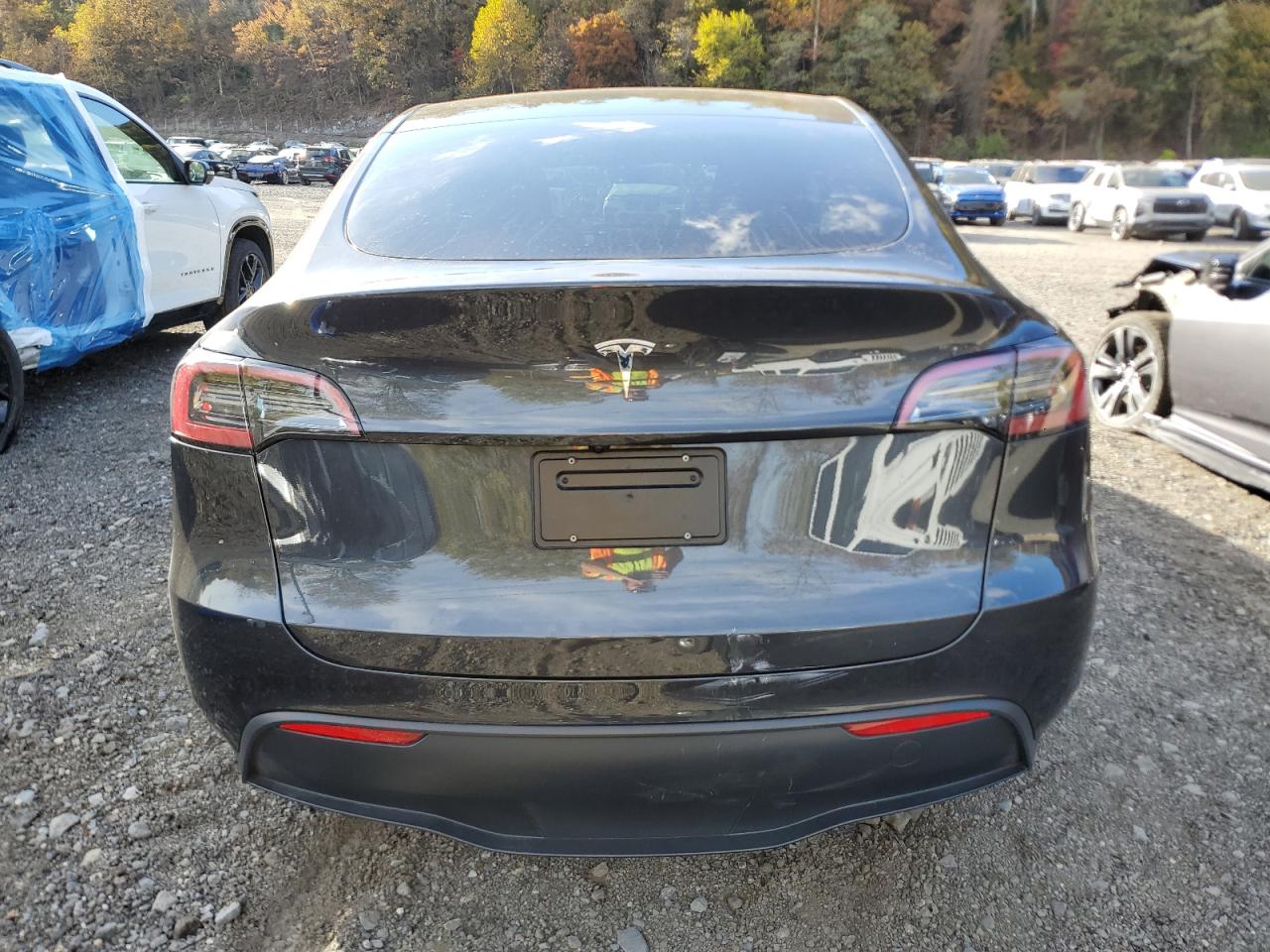2024 Tesla Model Y VIN: 7SAYGDEDXRF049810 Lot: 90645755
