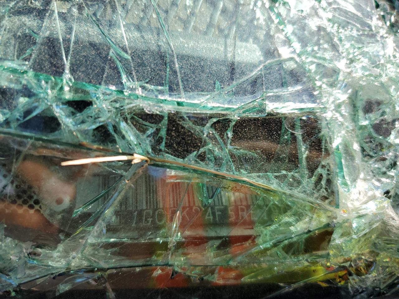 1994 Chevrolet Gmt-400 K2500 VIN: 1GCGK24F5RE190686 Lot: 81619585