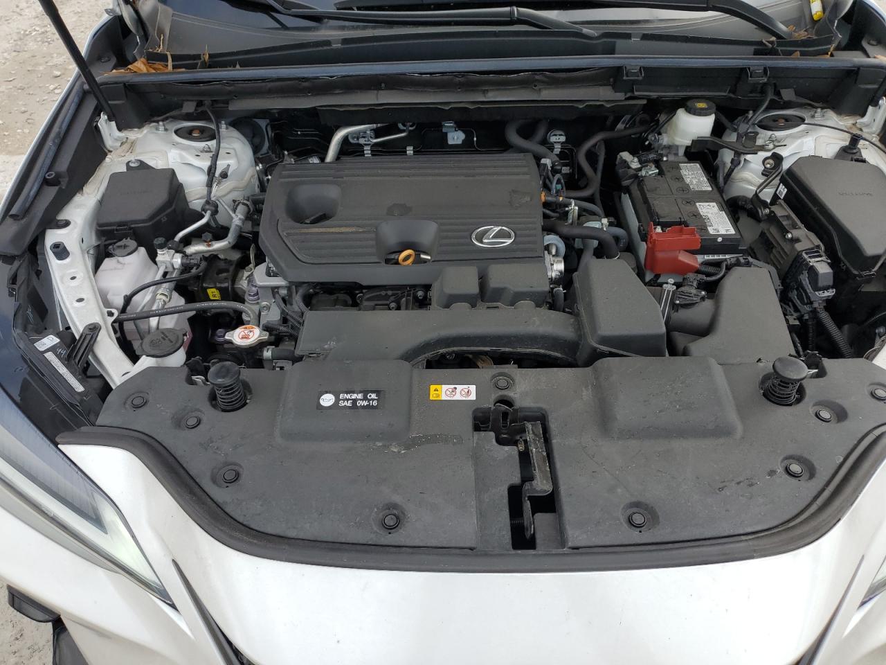 2024 Lexus Nx 250 Base VIN: 2T2ADCAZ0RC010792 Lot: 85514025