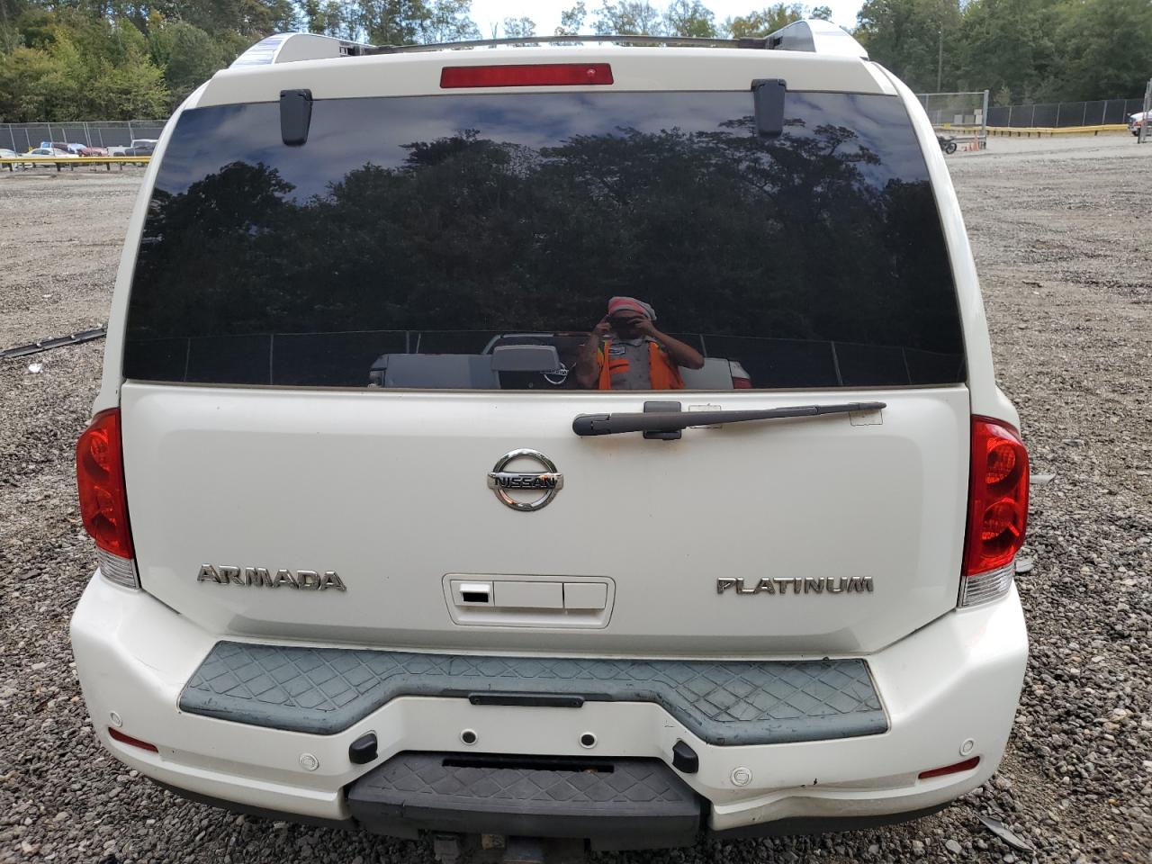 2010 Nissan Armada Platinum VIN: 5N1AA0NE1AN616313 Lot: 85650655