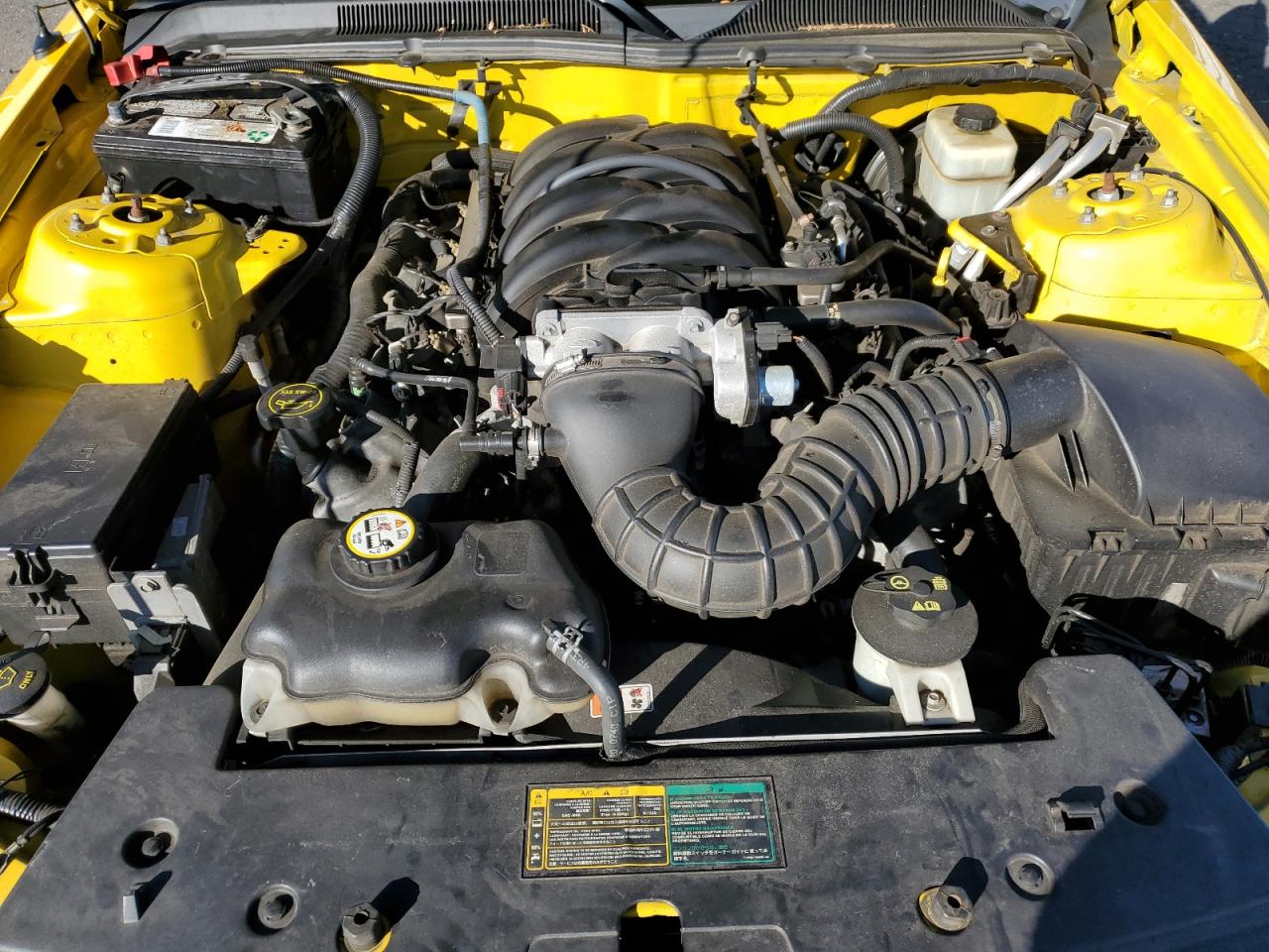 2006 Ford Mustang Gt VIN: 1ZVHT82H065248026 Lot: 85558645