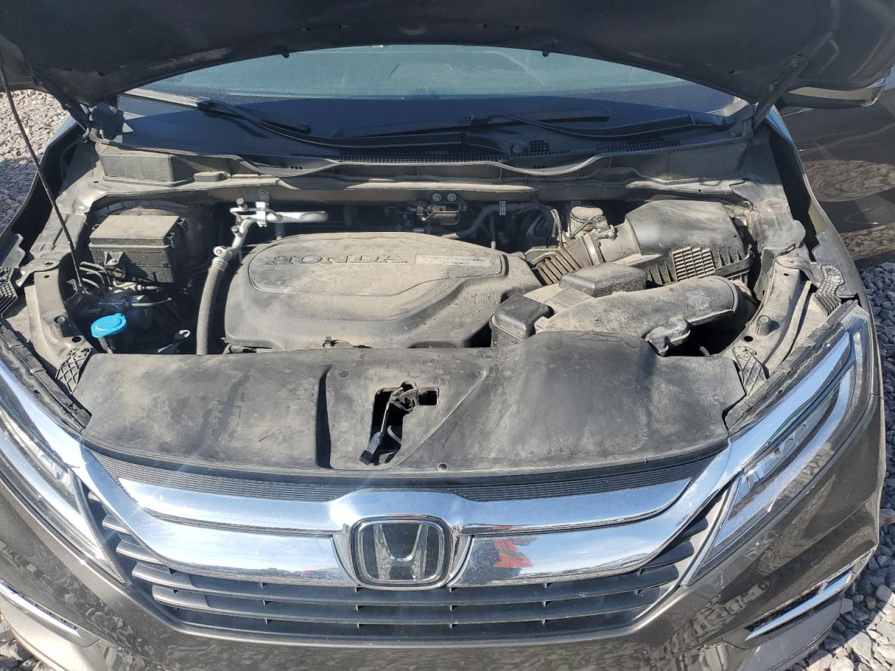 2019 Honda Odyssey Elite VIN: 5FNRL6H93KB020798 Lot: 81988815