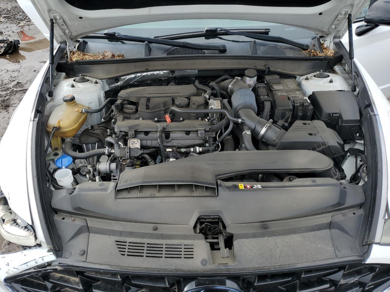 2021 Hyundai Sonata Sel Plus VIN: 5NPEJ4J29MH089327 Lot: 86469865