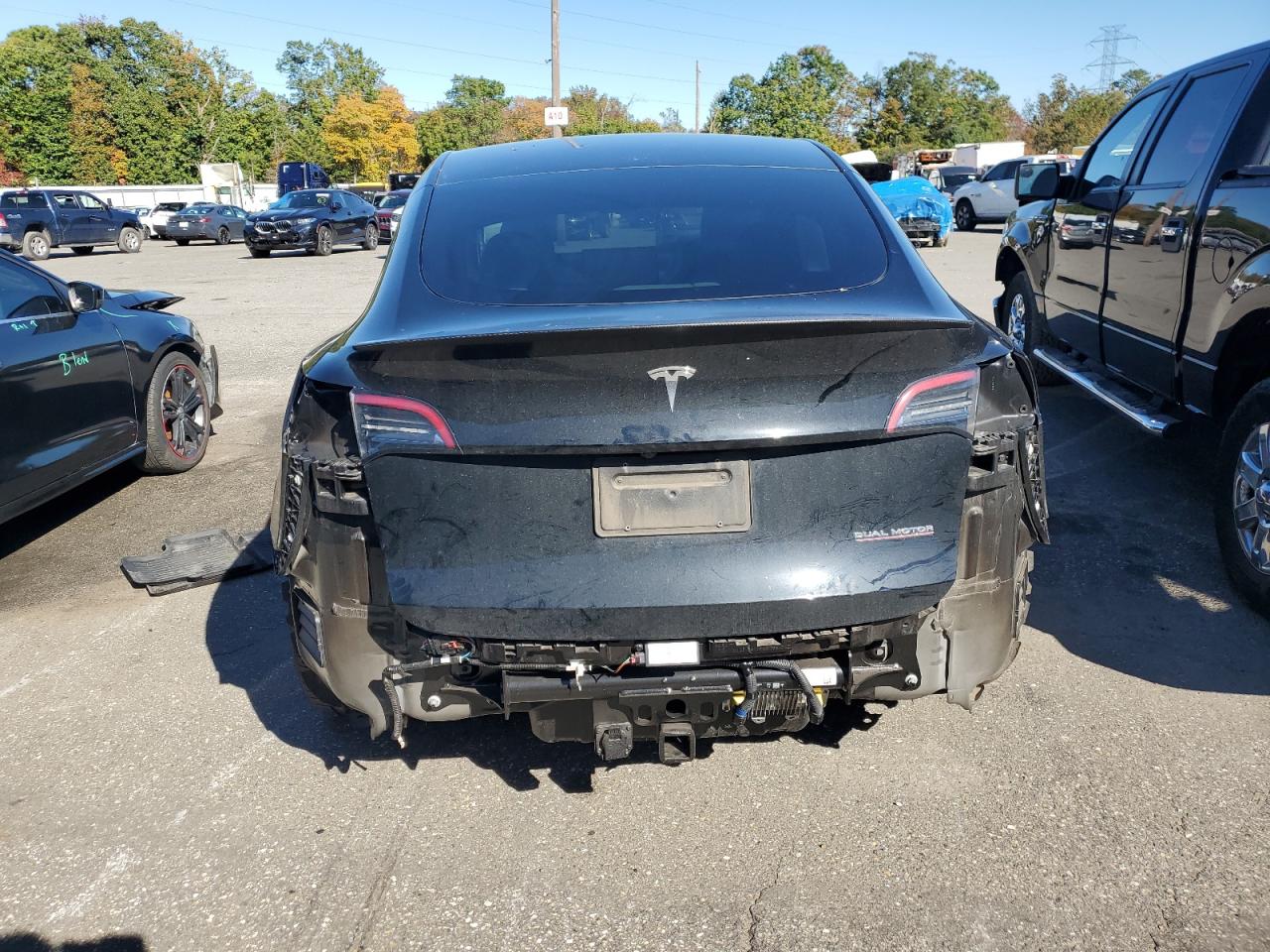 2023 Tesla Model Y VIN: 7SAYGDEF7PF825907 Lot: 86431715