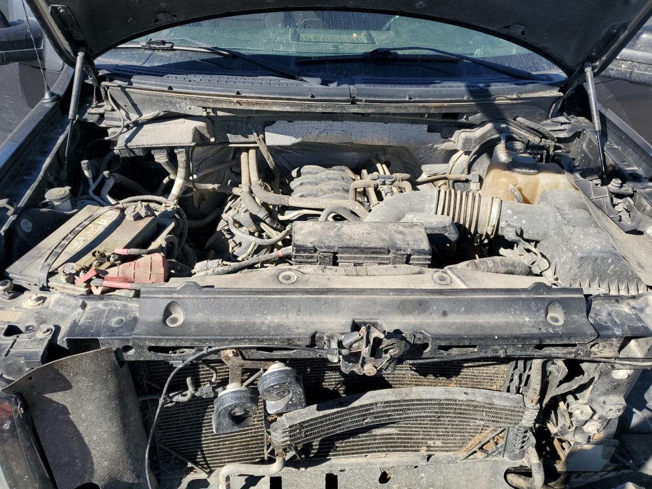 2011 Ford F150 Supercrew VIN: 1FTFW1EF2BFB94543 Lot: 81956495