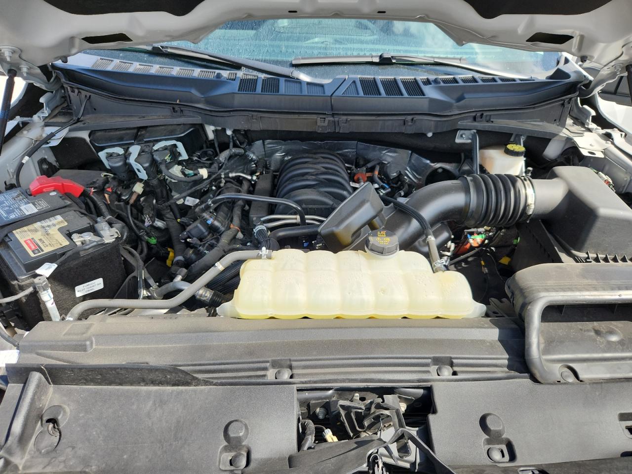 2024 Ford F150 Xlt VIN: 1FTFW3L52RKE29837 Lot: 82347005