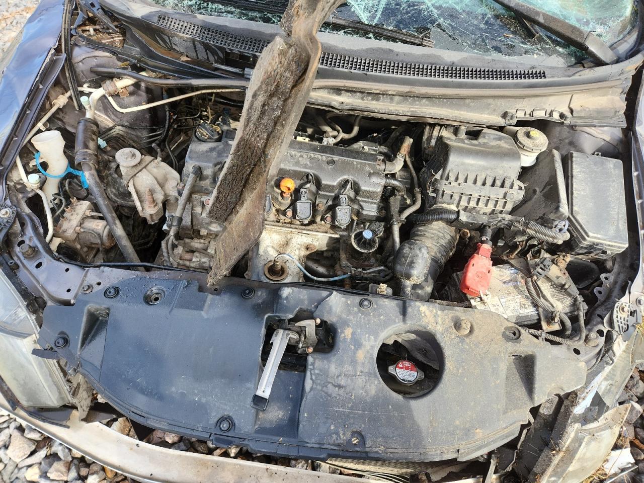 2014 Honda Civic Ex VIN: 19XFB2F8XEE044924 Lot: 84799765