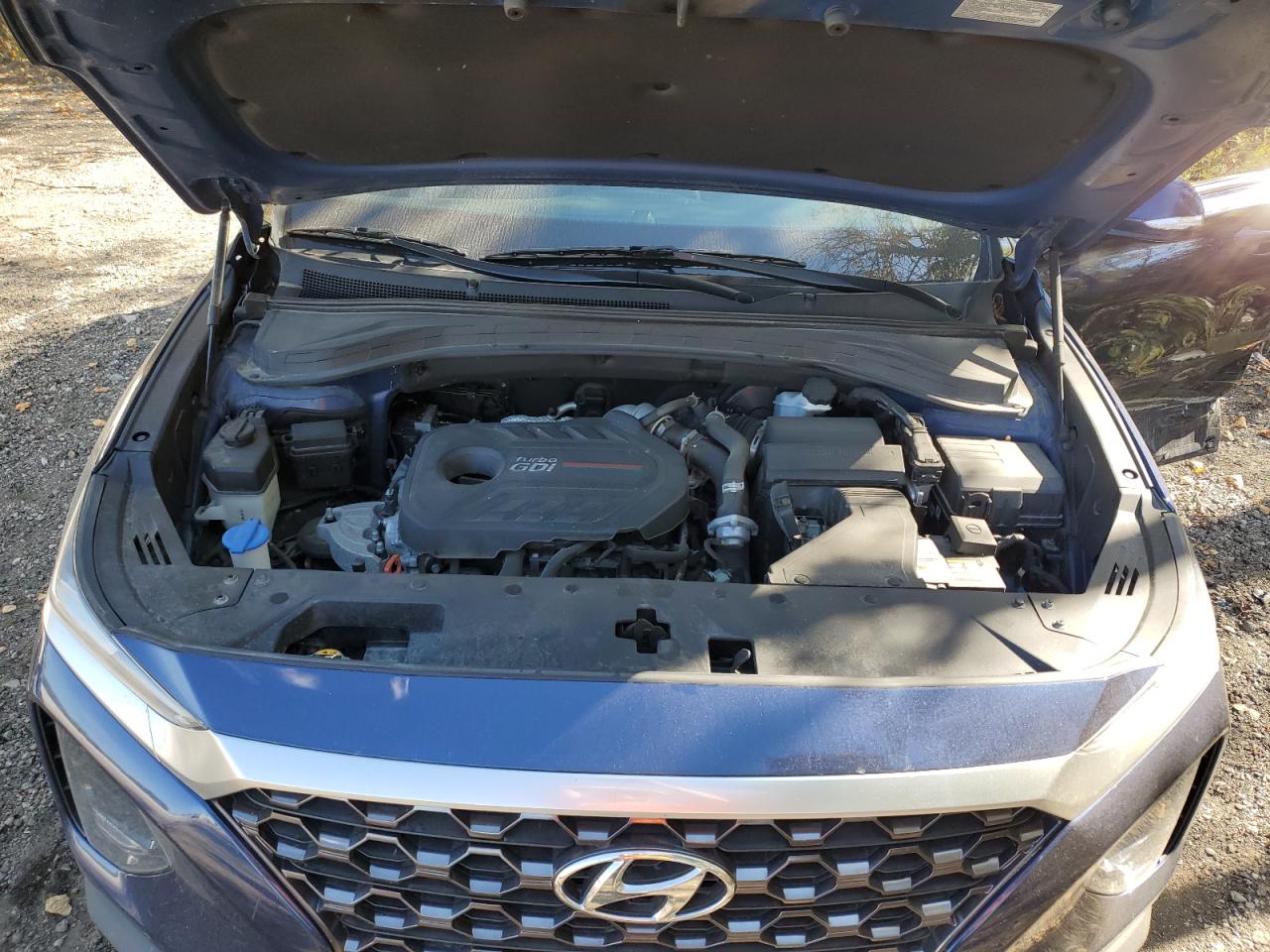 2019 Hyundai Santa Fe Sel VIN: 5NMS3CAA5KH040781 Lot: 85177615