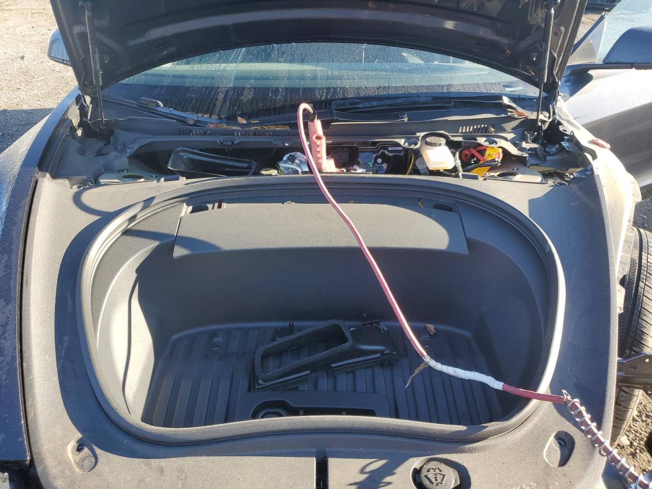 2024 Tesla Model 3 VIN: 5YJ3E1EA2RF748687 Lot: 85324705