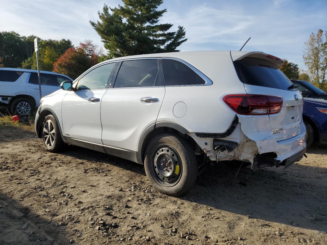 2020 Kia Sorento S VIN: 5XYPGDA54LG668488 Lot: 81959405