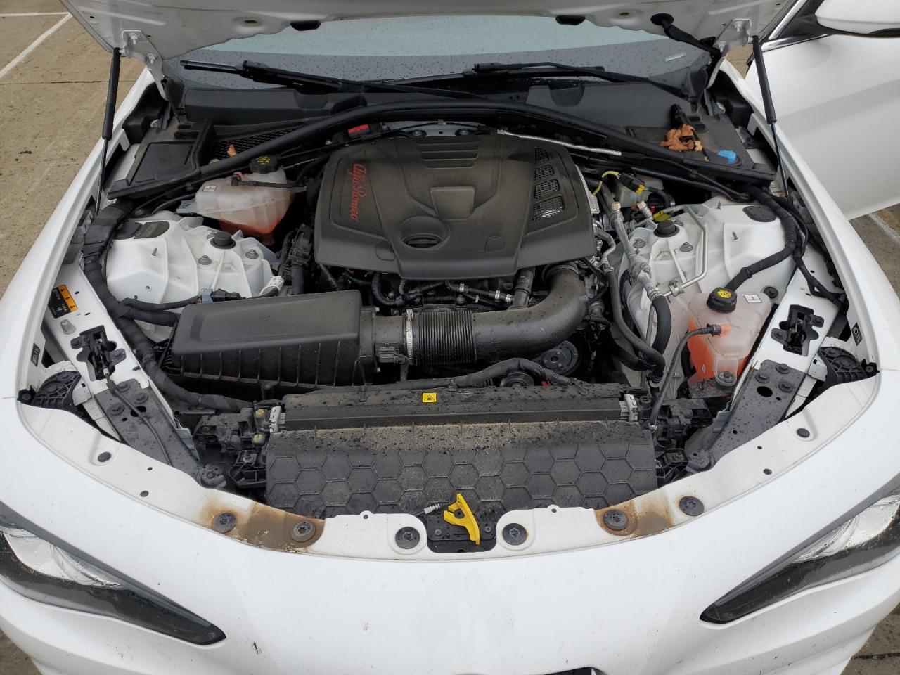 2021 Alfa Romeo Giulia Ti VIN: ZARFANBN3M7646763 Lot: 80188025