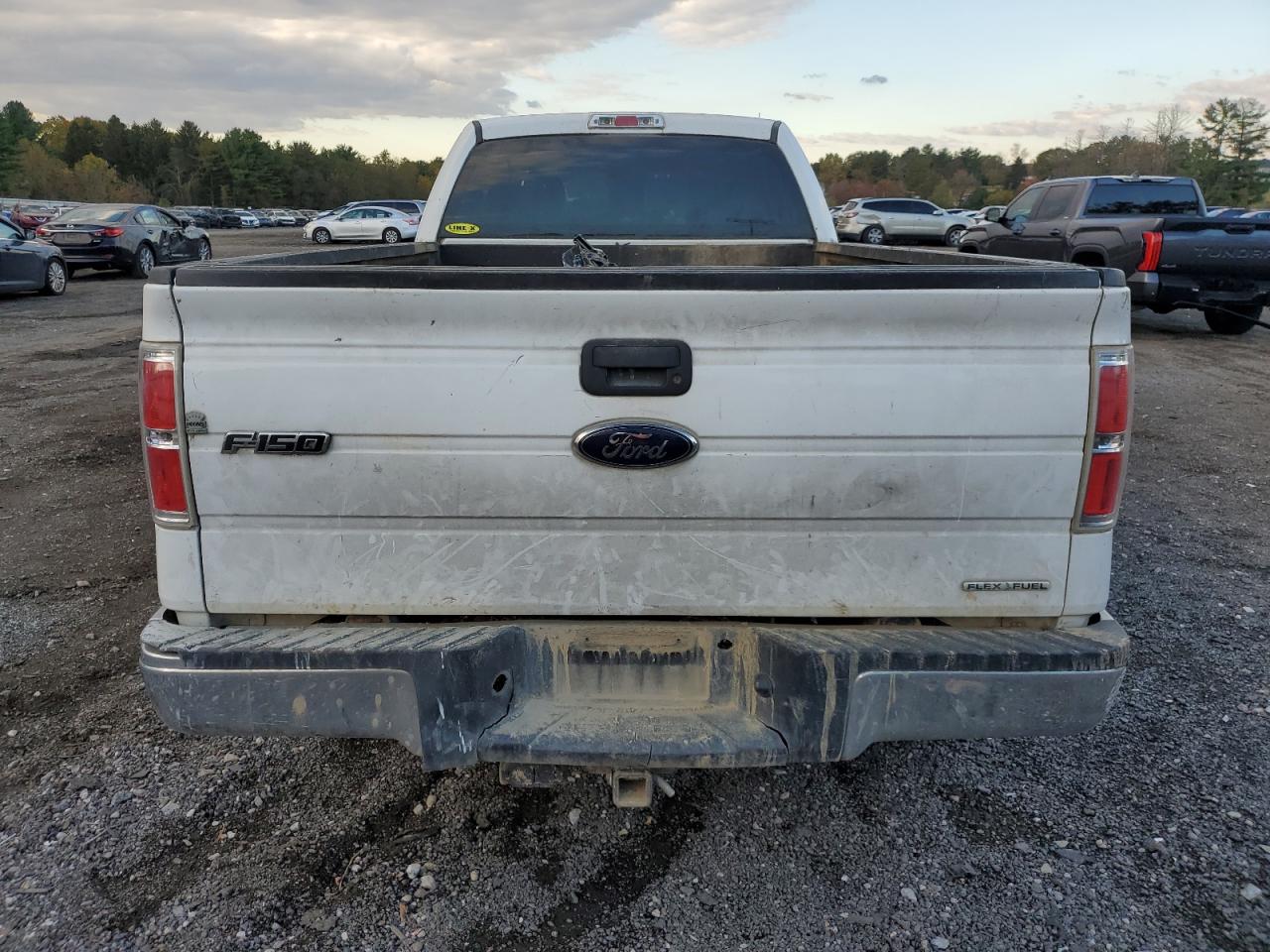 2013 Ford F150 Super Cab VIN: 1FTFX1EF9DKE32394 Lot: 89791045