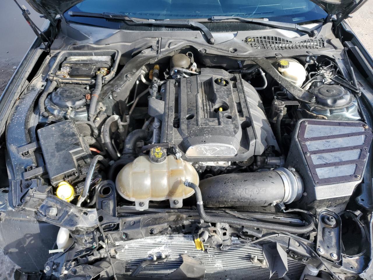 2016 Ford Mustang VIN: 1FA6P8TH1G5306116 Lot: 90344055