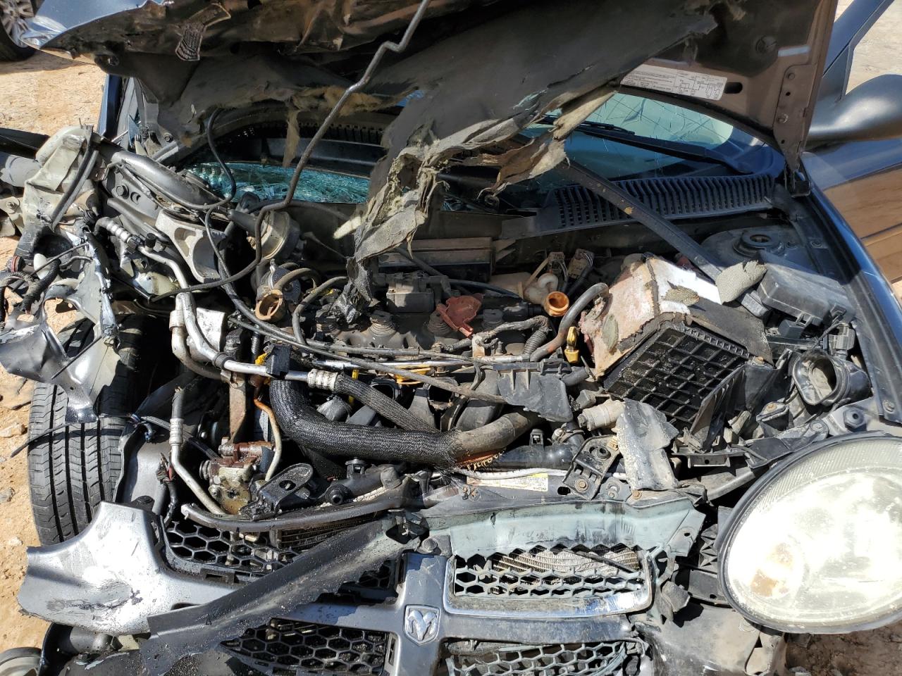 2003 Dodge Neon Sxt VIN: 1B3ES56C83D219155 Lot: 81984355