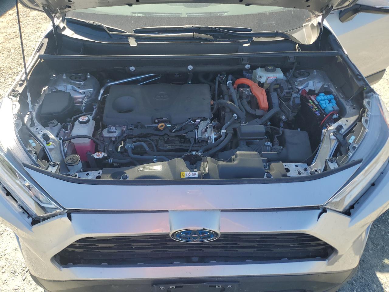 2021 Toyota Rav4 Xle VIN: 4T3RWRFV0MU040724 Lot: 84993795