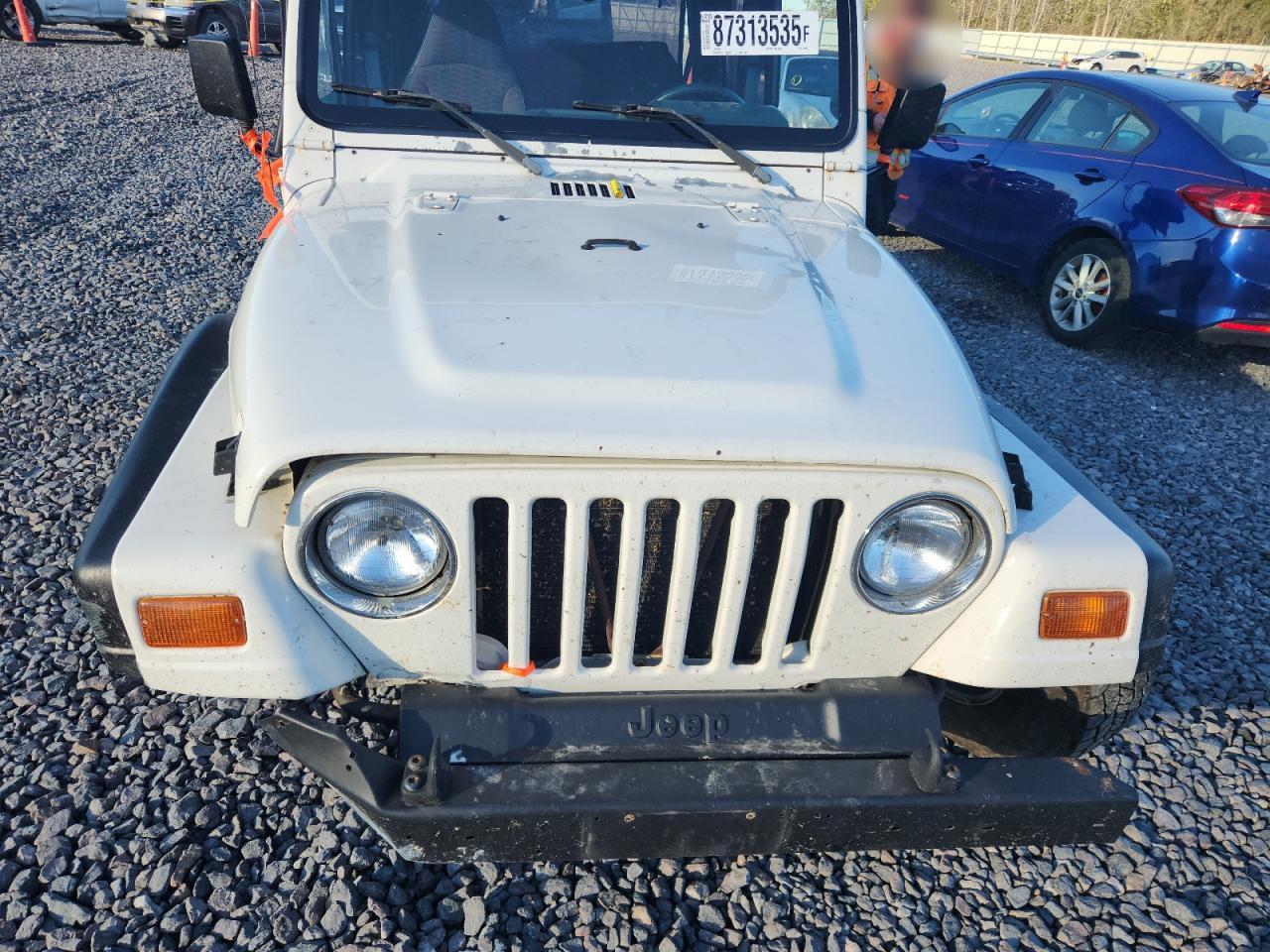 1999 Jeep Wrangler / Tj Se VIN: 1J4FY29P3XP439266 Lot: 87313535