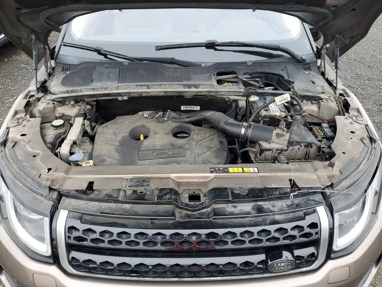 2016 Land Rover Range Rover Evoque Se VIN: SALVP2BG8GH100178 Lot: 86616375
