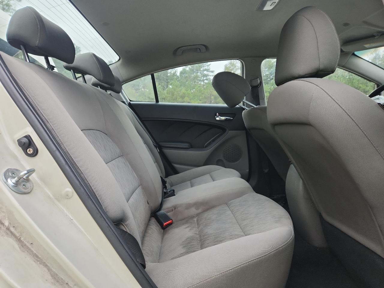 2014 Kia Forte Lx VIN: KNAFK4A69E5179872 Lot: 85959995