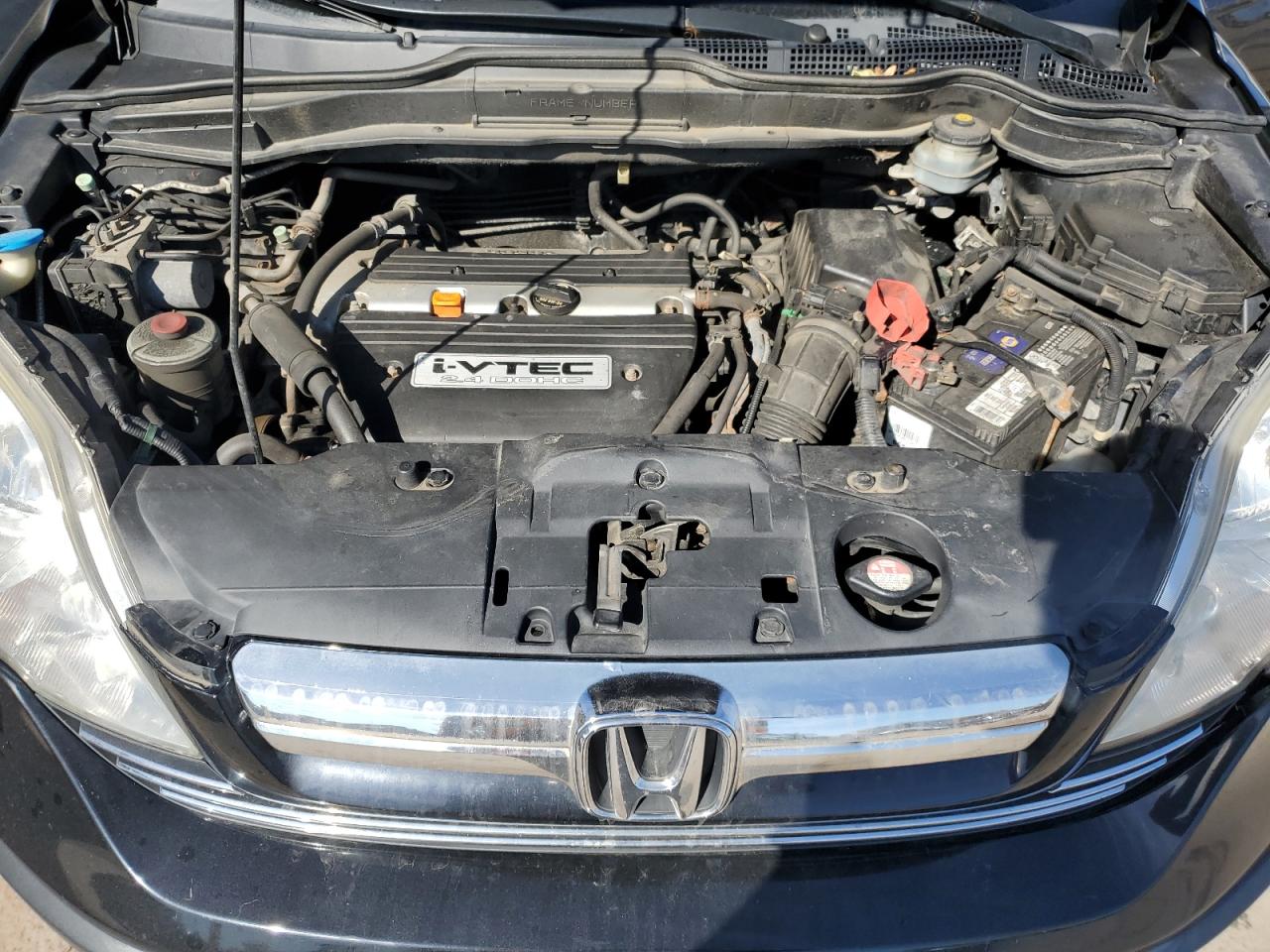 2007 Honda Cr-V Exl VIN: JHLRE48777C005970 Lot: 85177035