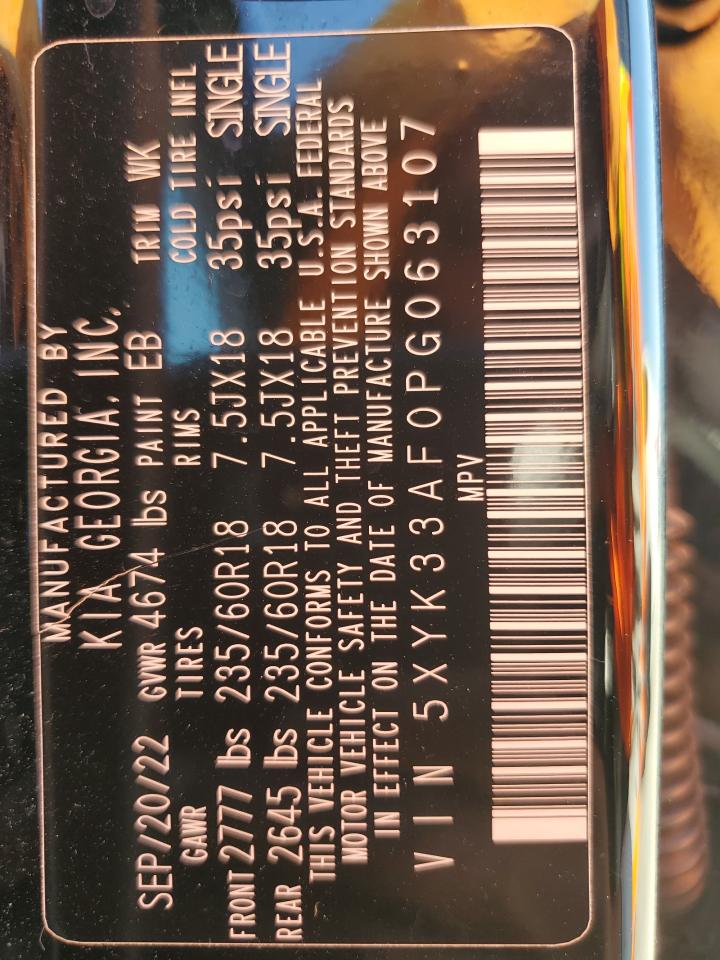 2023 Kia Sportage Ex VIN: 5XYK33AF0PG063107 Lot: 86625985