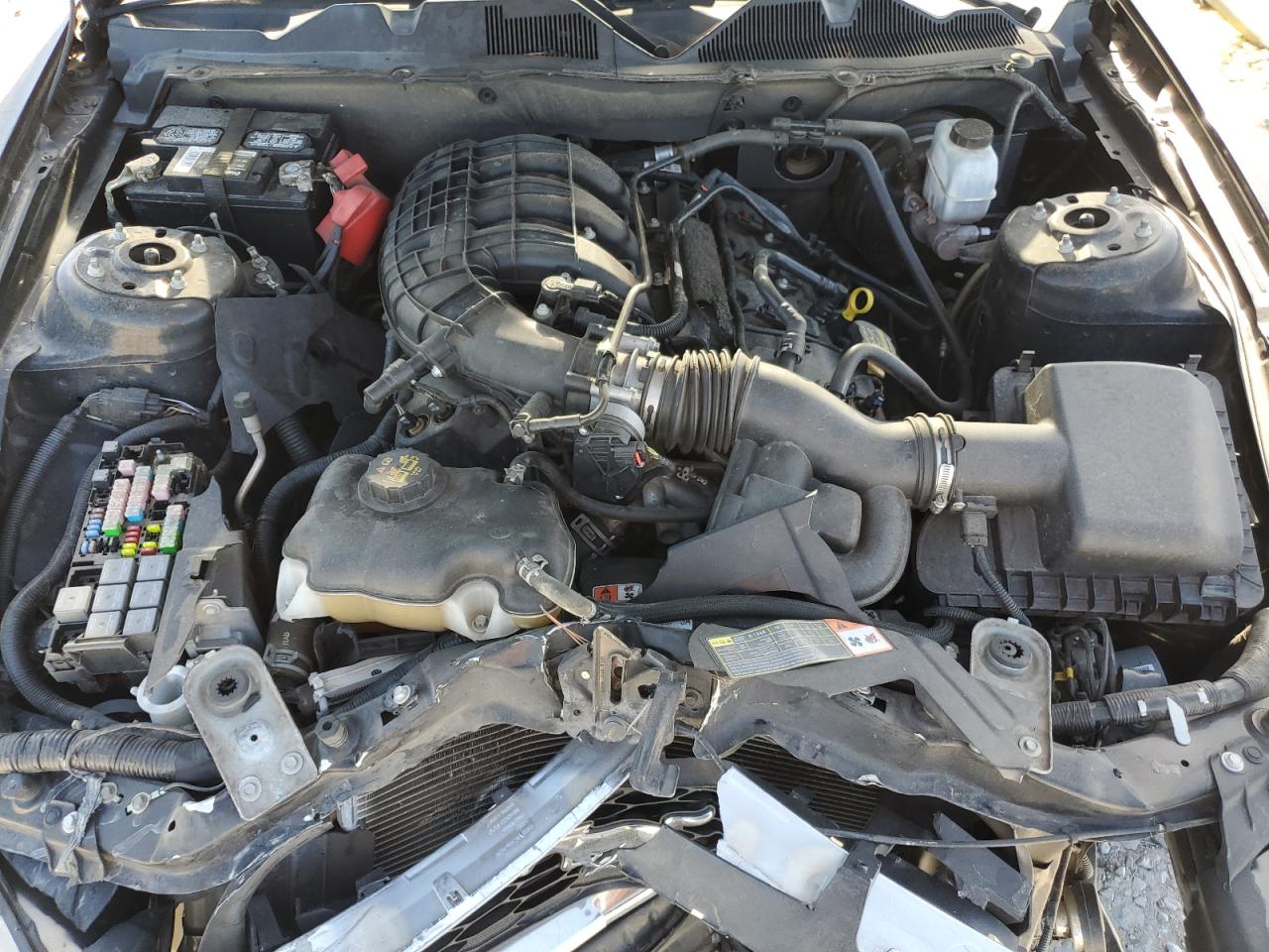 2013 Ford Mustang VIN: 1ZVBP8AM1D5273538 Lot: 87391275