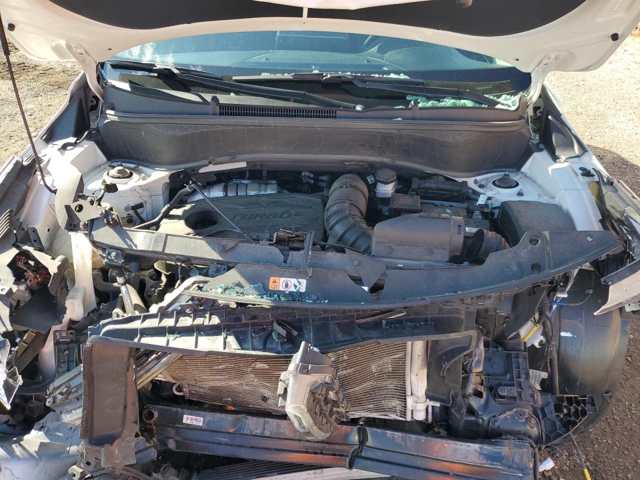 2021 Kia Seltos S VIN: KNDEUCA20M7124925 Lot: 85525445